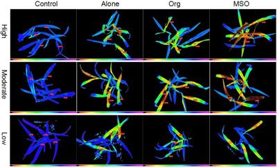 Early evaluation of adjuvant effects on topramezone efficacy under different temperature conditions using chlorophyll fluorescence tests